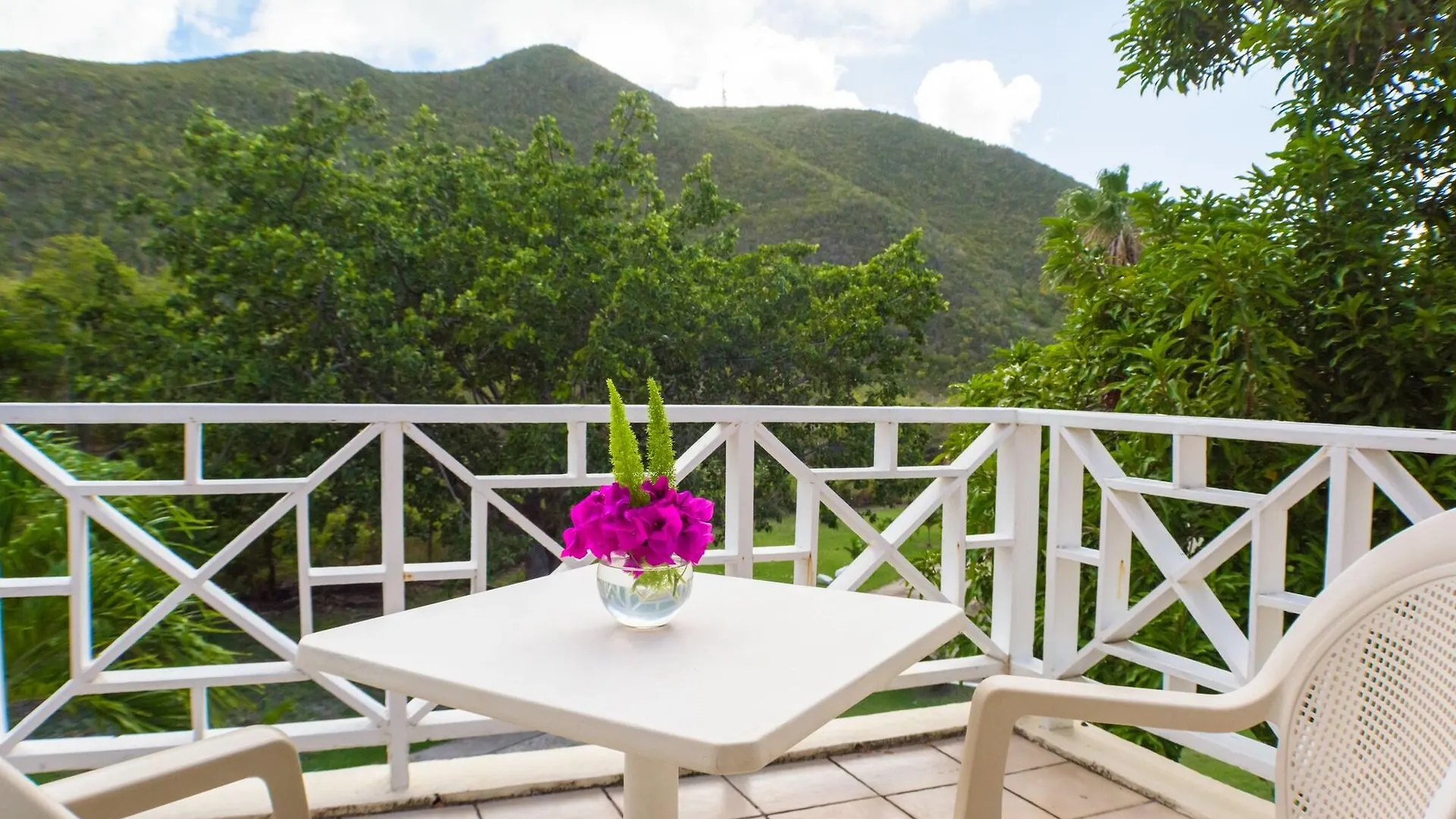 ****  Newcastle Village Mount Nevis Hotel סנט קיטס ונוויס