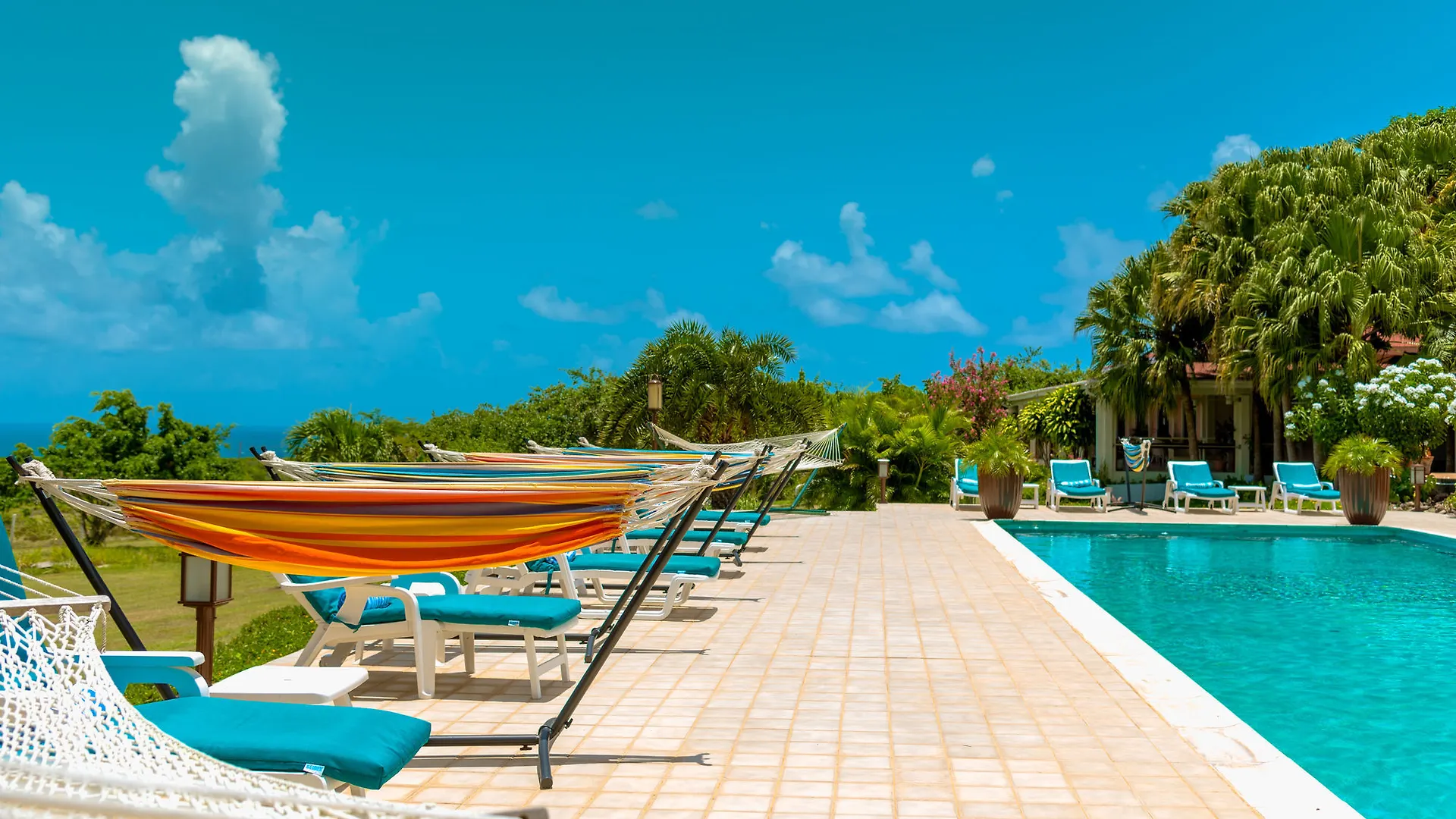 Newcastle Village Mount Nevis Hotel 4*,  סנט קיטס ונוויס