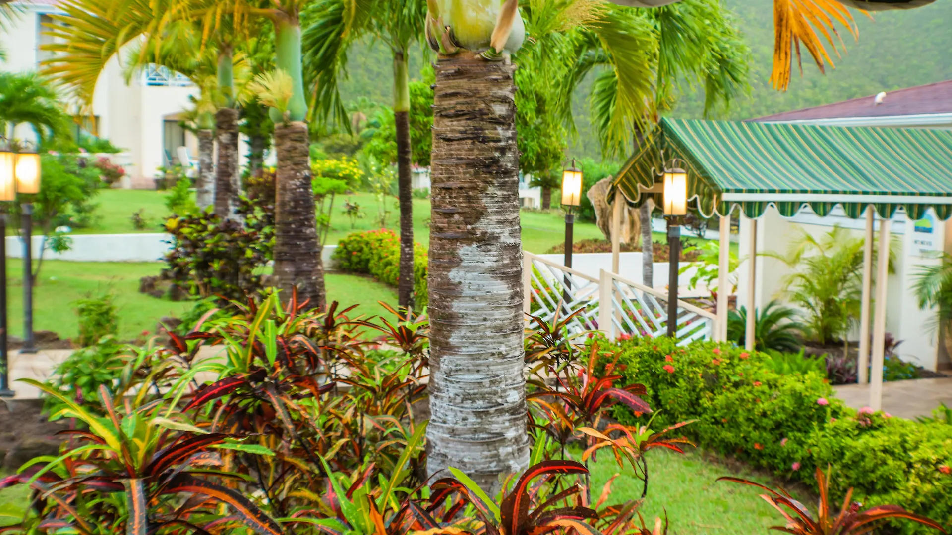 Newcastle Village Mount Nevis Hotel סנט קיטס ונוויס