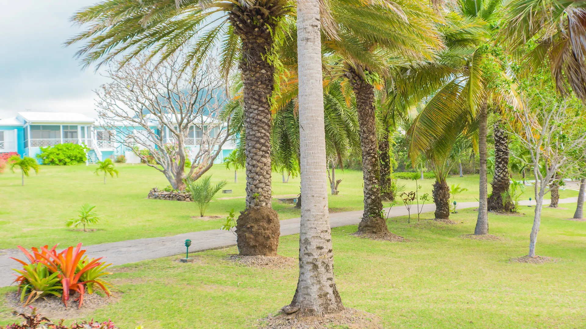 Newcastle Village Mount Nevis Hotel